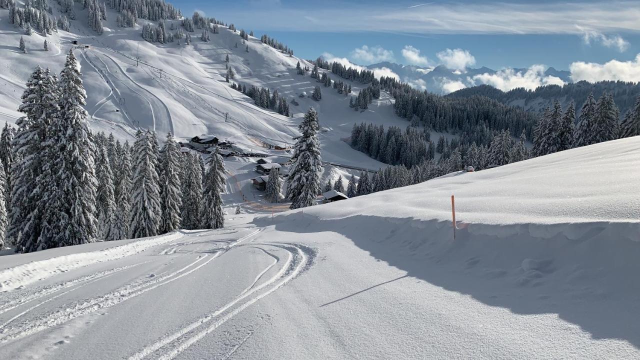 Ferienwohnung Am Goldbach Pool Sauna Obermaiselstein Eksteriør bilde